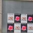 카페프로스 | 휘쿠버에서 닉변한 안산 한양대 에리카 카페 <프로스콘스 WEST점> 방문후기