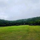 제주 D-3, 종달리해변과 수국길 이미지