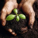 행복한피부 이미지