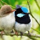 숲속의하루 이미지