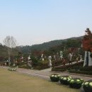 뿌리공원 이미지