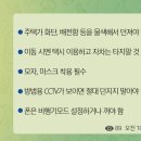 법무법인상원
