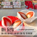 여수딸기앙모찌돌산점 | 여수 딸기모찌 맛집 | 딸기앙모찌 돌산본점 포장 보관 후기