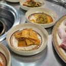 돼지가좋은세상 이미지