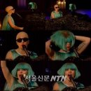 폴헤어(PAUL HAIR) 서울신문