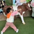 낙농 | 김포 아이랑 가볼만한 곳, 연보람 목장 낙농체험 풀코스 후기