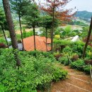 화수목