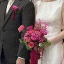 핫핑크 올포러브장미 줄맨드라미 본식부케(인천부케, 송도부케, 구월동부케, 부평부케, 주안부케)