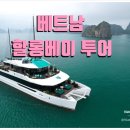 투안