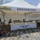 황골장미마을 이미지