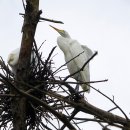 권율대로 이미지