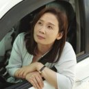 드림팰리스주