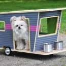 강아지집 이미지