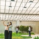 현대백화점 목동점 이미지