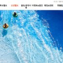 비발디파크오션월드 이미지