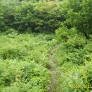 푸른쉼터 표지석 이미지