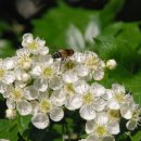 잠실여자고등학교 생태지도안 이미지