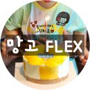 베이커리 라누 | 대구 망고케이크 끝판왕 베이커리라누 리얼후기 진짜 이쁨