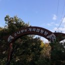 계곡과소나무 캠핑장 이미지