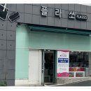 플라쏘 이미지