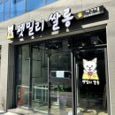 펫밀리쌀롱 이미지