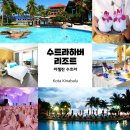 제이엠투어여행사 이미지
