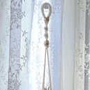 행잉플랜트 공기정화식물체험 이미지