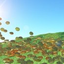 연수 태양광발전소 이미지