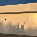 포레팜 | 보홀 마지막날 일정. 발리카삭(거북이)호핑투어·우베코·포레스파 후기까지