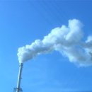 THE 파란 이미지