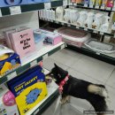 폴리파크 반야월점 이미지