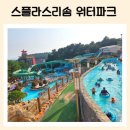 스플라스리솜 이미지