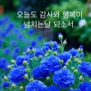 오늘,운동 이미지