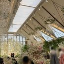 하늘그린(주) | 신도림 라마다호텔 웨딩홀 투어 &amp; 하늘정원홀 계약 후기 (27년 상반기 봄 성수기)