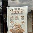 새마산동물병원 | 마산 댓거리 카페 컵넛 | 해양누리공원 근처 통창뷰 감성카페 도넛 맛집 후기