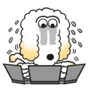 미고디자인