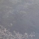 L-1 | L테아닌 효능 부작용 섭취 솔직 후기