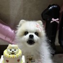 멈무까 네이버블로그
