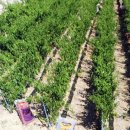 양덕2농장 이미지