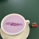 성환초등학교 | 천안 성환 카공 데이트하기 좋은 예쁜카페 일월십사일 내돈내산 후기