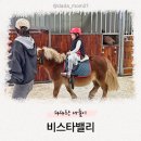 가곡농장 | 승마체험 가능한 서울 근교 카페 ’비스타밸리‘ 가족 나들이 후기