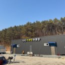 사계절 봄봄 네이버블로그