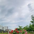 미사호수공원 이미지