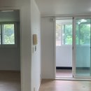 힐링 바이올린 이미지