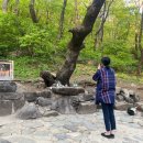 용신24 이미지