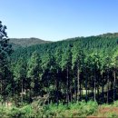 장성빌딩 이미지