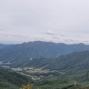 대강초 장정분교 네이버블로그