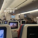 [🇮🇹시칠리아 신혼여행] 터키항공 지연 후기 (TK90, 기내식, 수하물 초과)