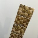 마동목장 이미지