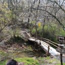 상관리조트&스파 이미지